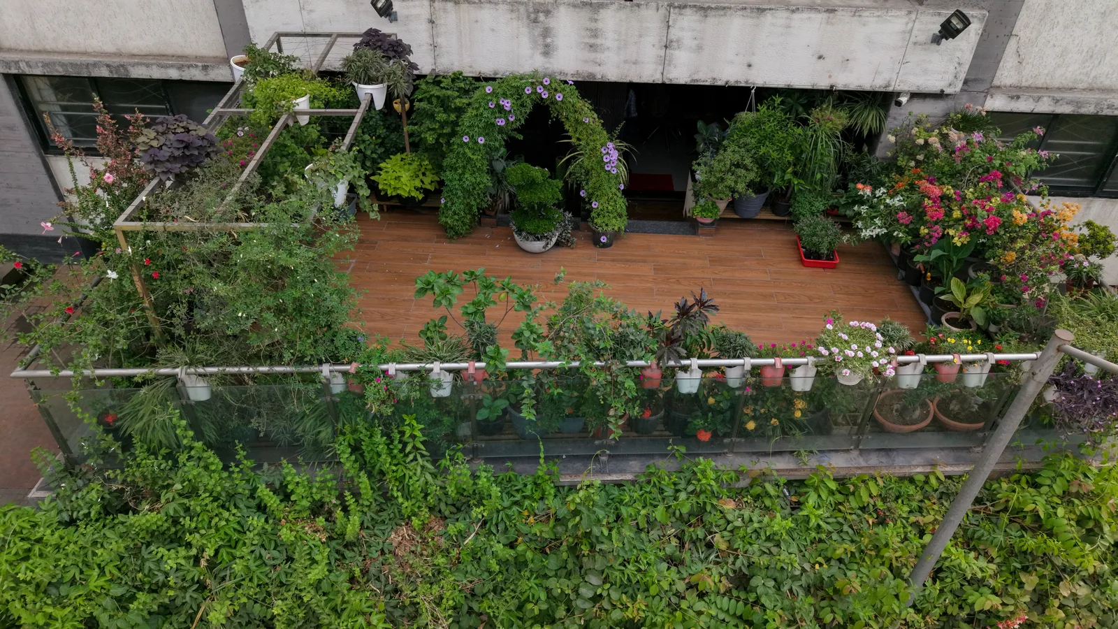 Terrace & Balcony Gardens